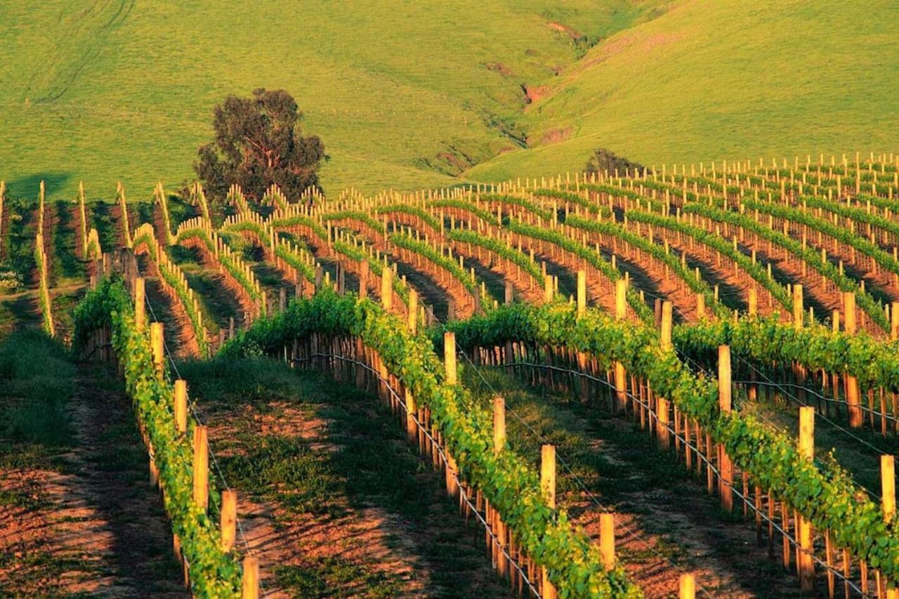 Spectacular Stay At Silverado In Napa Exterior foto