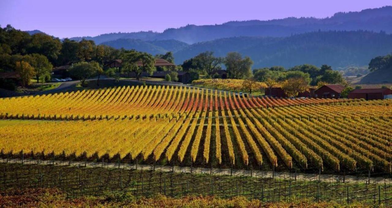 Spectacular Stay At Silverado In Napa Exterior foto